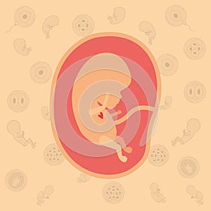 Color background pattern pregnancy icons with fetus human growth in placenta