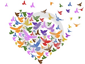 Color birds flying with heart