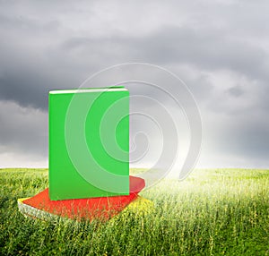 Color Books in grass fields and rainclouds photo