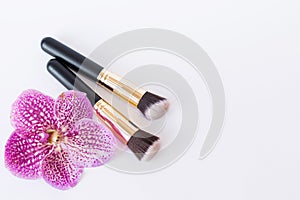 Color Brushes, make-up cosmetics on the side on a light background