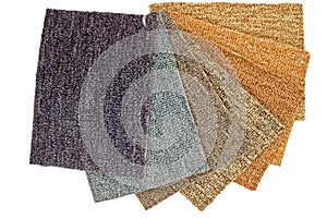 Color Carpet Samples