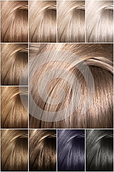 Color chart for tints. Dyed hair color samples arranged on a card in neat rows.