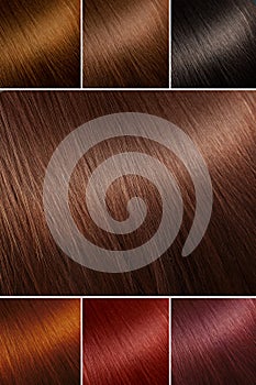 Color chart for tints. Hair color palette with a wide range of swatches. Example of different hair colors.