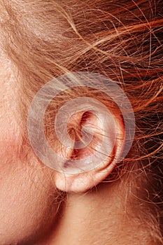 Color closeup picture of blond haired girl ear, it looks tender and sensual