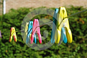 Color clothespegs on washline