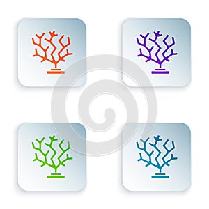 Color Coral icon isolated on white background. Set colorful icons in square buttons. Vector photo