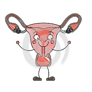 Color crayon silhouette caricature female reproductive system