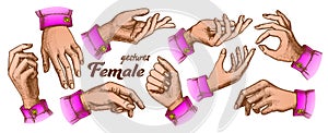 Color Different Gesture Set Vintage Vector