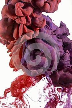 Color drop. dIRTY red, magenta, violet photo