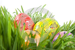 Color easter eggs in grass