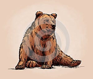 Color engrave isolated grizzly bear