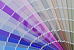 Color Fan Chart for House Paint