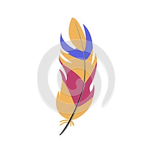 color feather exotic bird cartoon vector illustration