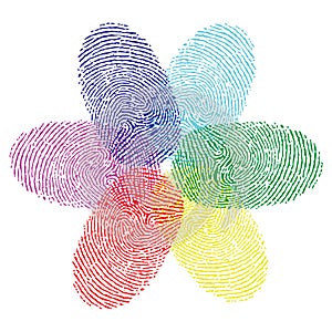 Color fingerprint flower