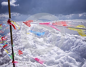 Color flags photo