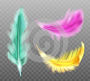 Color fluffy feather vector realistic