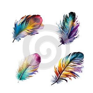 color full set Fluffy Twirled quill feathers different style ornament vector art