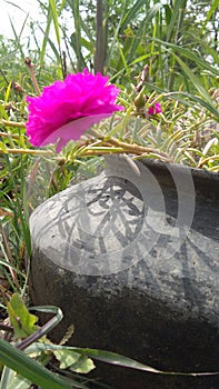 Color full wallpaper