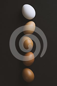 Color gradient from white to brown eggs in a row on black background