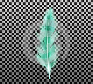 Color green fluffy feather vector realistic