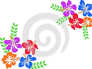 Color Hawaii hibiscus background