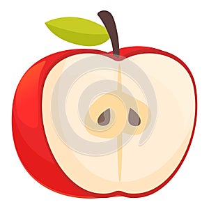 Color health fruit icon cartoon vector. Food core seed