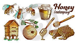 Color Honey Beekeeping Apiary Set Vector