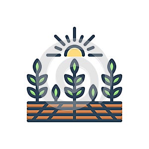 Color illustration icon for Agricultural, farming and agrarian