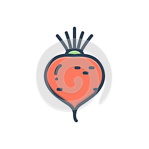 Color illustration icon for Beetroot, taproot and healthy
