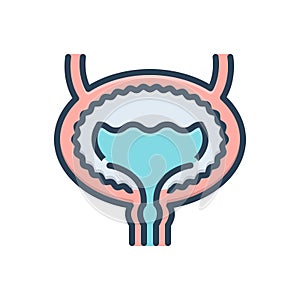 Color illustration icon for Bladder, urinary and urethra