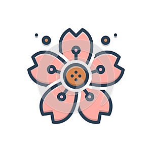 Color illustration icon for Cherryblossom, cherry and blossom