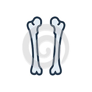 Color illustration icon for Femur, bone and calcuim