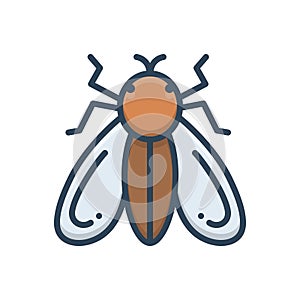 Color illustration icon for Fly, insects and mosquito
