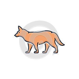 Color illustration icon for Fox, omnivores and tail