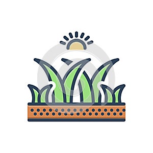 Color illustration icon for Gras, grass and natural