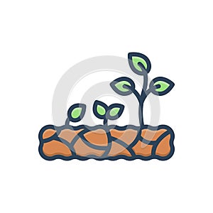 Color illustration icon for Growing, increasingly and sapling