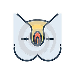 Color illustration icon for Hymen, sexual and vulva