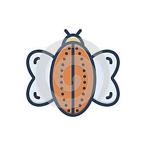 Color illustration icon for Insect, moth and dross