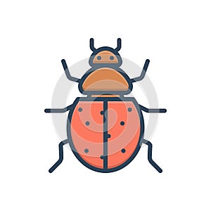 Color illustration icon for Ladybug, bettle and herbivore