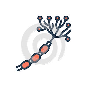 Color illustration icon for Nerve, neuron and artery
