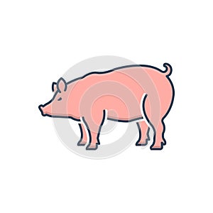 Color illustration icon for Pig, boar and pork