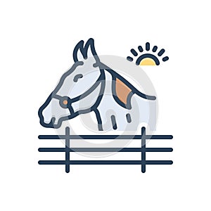 Color illustration icon for Stud, horse and long