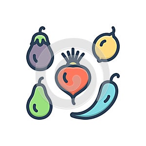 Color illustration icon for Varied, different and vegetable