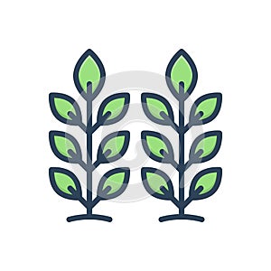 Color illustration icon for Vegetation, plants and greenery