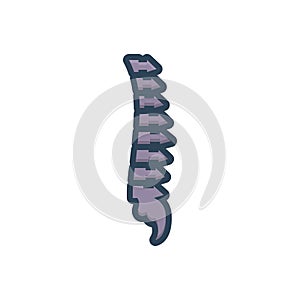 Color illustration icon for Vertebra, anatomy and backbone