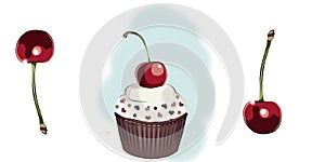 Color illustration  of a muffin and cherrys.The cherry dessert