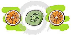Color illustration of oranges and kiwis on a white background.