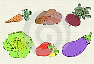 Color illustration of six vegetables on a sheet of student noteb