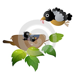 Color image of cartoon bird nest with nestlings or chicks on white background. Vector illustration for kids