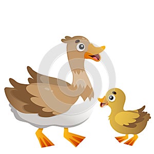 Color image of cartoon duck with duckling on white background. Farm animals. Vector illustration for kids